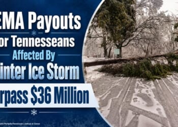 FEMA Payouts For Tennesseans Affected By Winter Ice Storm Surpass $36 Million