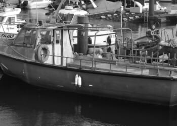 Heading: A 1950s childhood, Part 4: Mackerel fishing – not for the squeamish!