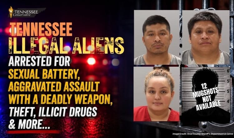Tennessee Illegal Aliens Arrested For Sexual Battery, Aggravated Assault With A Deadly Weapon, Theft, Illicit Drugs & More…