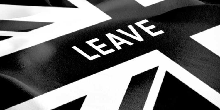 The ten years of lies we Leave campaigners have endured