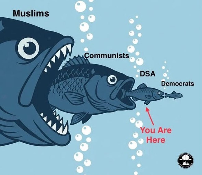Fishes