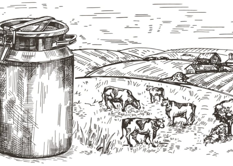 The Ashworth Collection: Notes from the Sticks