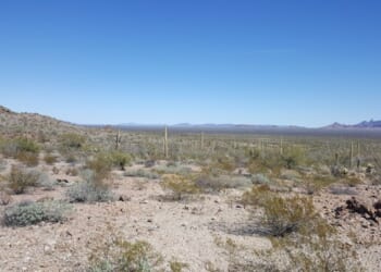 A Week Ago Sunday, Downtown Tucson Had a Mass Shooting – HotAir