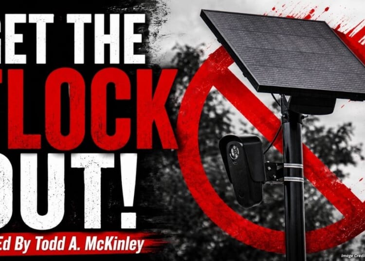 Get The Flock Out! (Op-Ed By Todd A. McKinley)