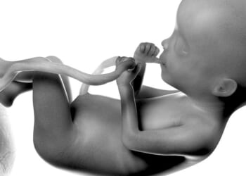 In the name of progress, abortions take birth rates back to the Plague years