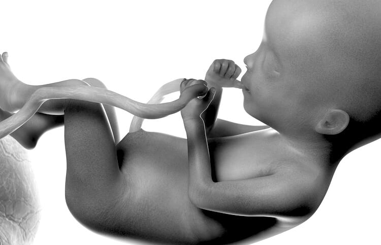 In the name of progress, abortions take birth rates back to the Plague years