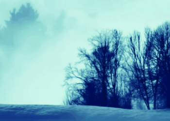 Scripture as a Source of Prayer ~ The Imaginative Conservative