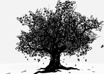 Why can we preserve a tree – but abandon traditional values?