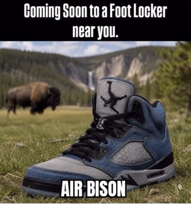 Air Bison