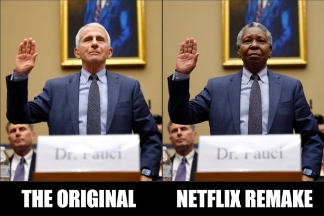 Netflixremake