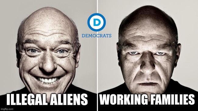 Dems Illegal