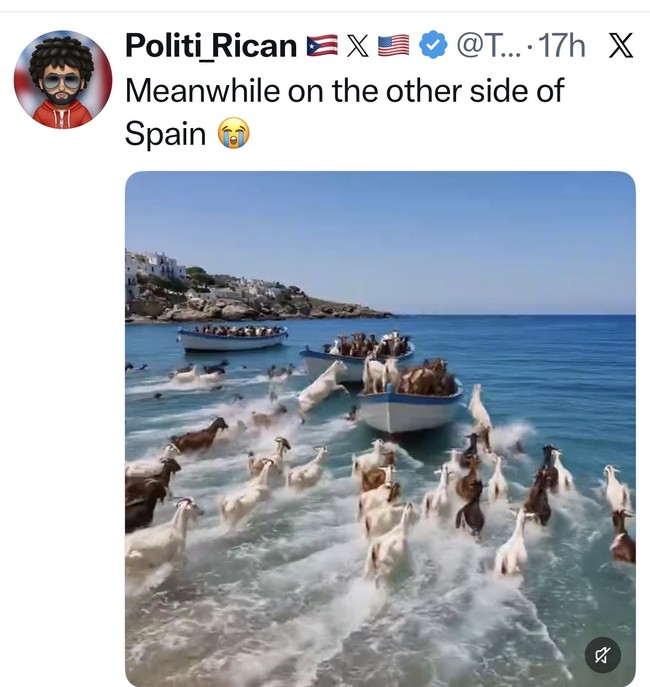Goats