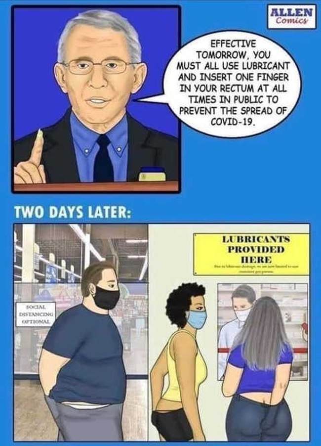 Rectum