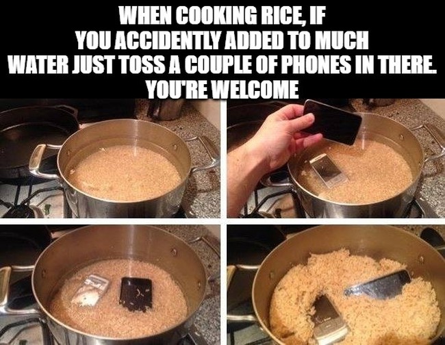 Rice