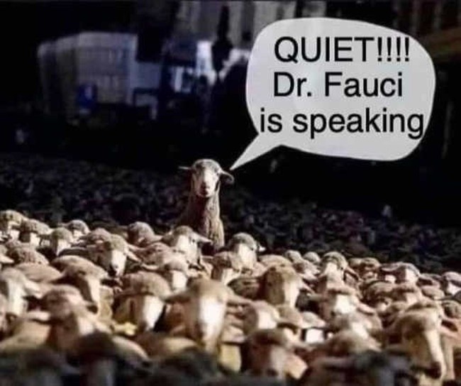 Quiet