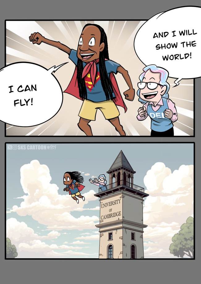Fly