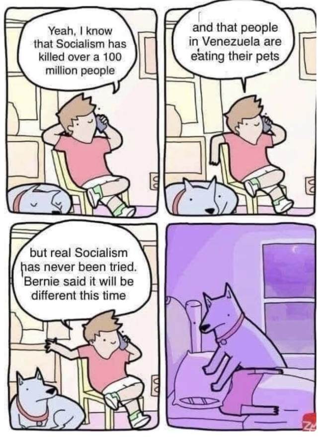 real socialism