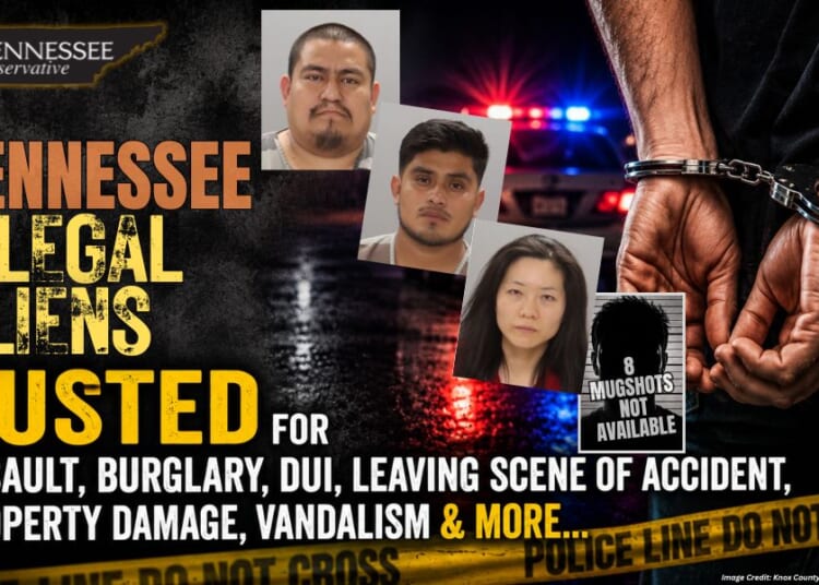 Tennessee Illegal Aliens Busted For Assault, Burglary, DUI, Leaving Scene Of Accident, Property Damage, Vandalism & More...