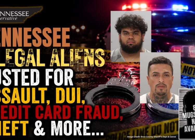 Tennessee Illegal Aliens Busted For Assault, DUI, Credit Card Fraud, Theft & More...