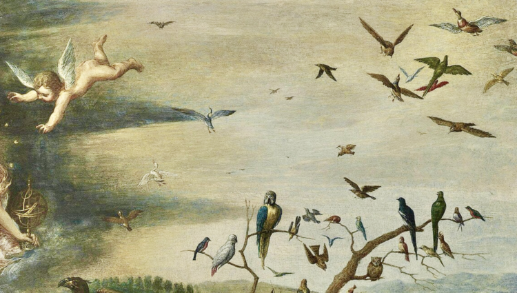 Consider the Birds of the Air ~ The Imaginative Conservative