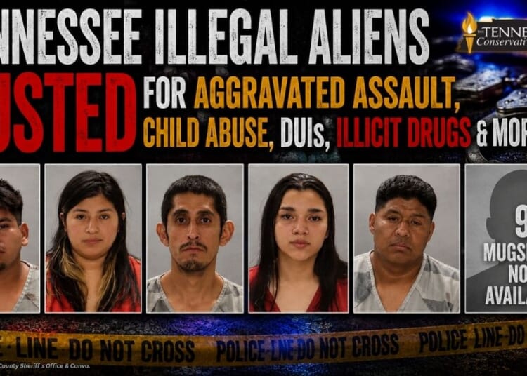 Tennessee Illegal Aliens Busted For Aggravated Assault, Child Abuse, DUIs, Illicit Drugs & More…