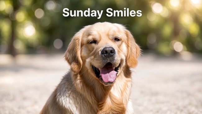 Sunday Smiles – HotAir