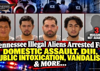 Tennessee Illegal Aliens Arrested For Domestic Assault, DUI, Public Intoxication, Vandalism & More...