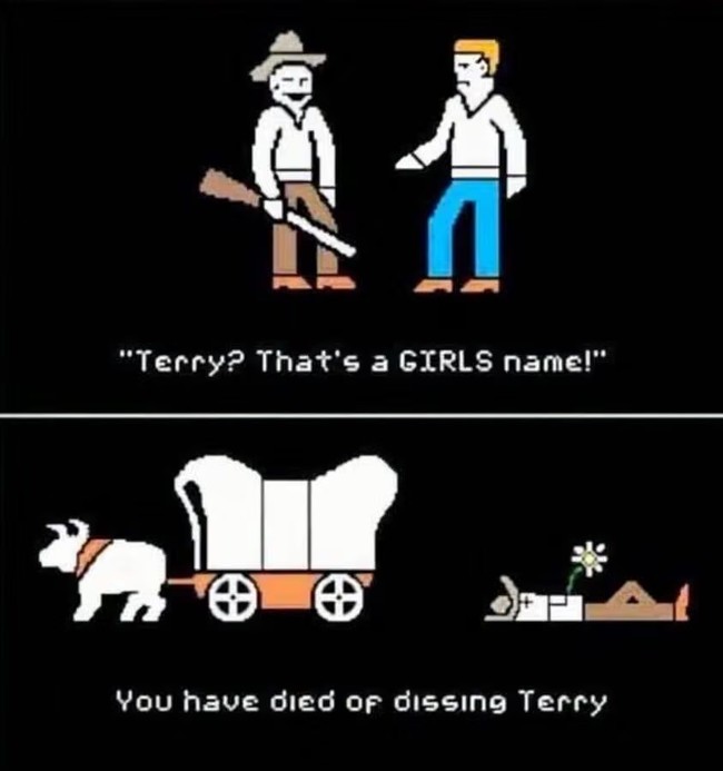 DissingTerry
