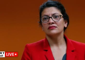 Hidden Camera Catches Rashida Tlaib Defending Citizenship Lie – HotAir