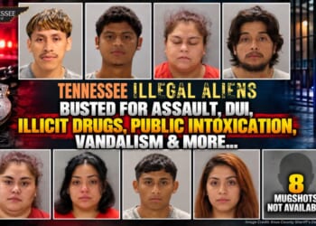 Tennessee Illegal Aliens Busted For Assault, DUI, Illicit Drugs, Public Intoxication, Vandalism & More...