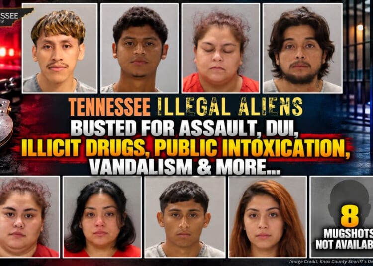 Tennessee Illegal Aliens Busted For Assault, DUI, Illicit Drugs, Public Intoxication, Vandalism & More...